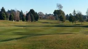 Find out more about Kaiapoi Golf Club