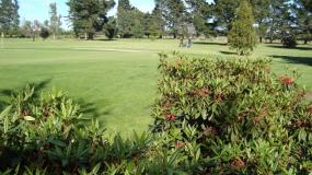 Find out more about Lincoln Golf Club