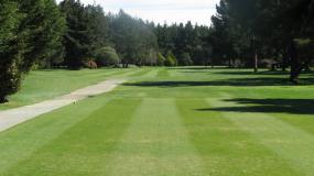 Find out more about McLeans Island Golf Club